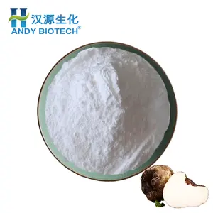 Nhà Máy Cung Cấp Phụ Gia Thực Phẩm Konjac Gum Powder Extract Bột Glucomannan