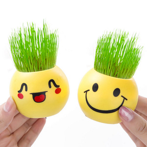 Mini Bonsái con Emojis, Planta en Maceta, Decoración Verde para Interiores, 4 Piezas, Plástico Redondo, Regalo para Sala de Estar, Cumpleaños - Product Image 4