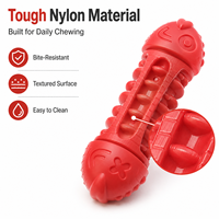 Jouet à mâcher en nylon en forme d'arête de poisson pour chien, bâtonnet de nettoyage dentaire et de mastication pour l'entraînement à la dentition (vente en gros)