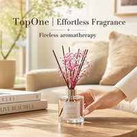 Diffuseur d'arômes à base de gypsophile naturelle préservée, grande capacité, avec boîte cadeau haut de gamme pour offrir