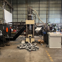 Machine à briqueter verticale en métal de conception compacte pour le compactage de copeaux en petite atelier