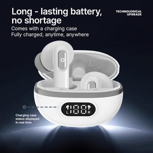 Étui pour mini-écouteurs ALOVA, type C, mode vocal, utilisation quotidienne, aides auditives Bluetooth pour seniors, OEM en gros - Product Image 2