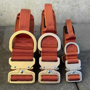 Yumuşak yastıklı ve saplı dayanıklı özel çakmak alüminyum Metal toka kişiselleştirilmiş yaka savaş naylon köpek tasması - Product Image 1