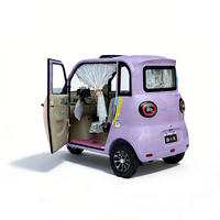 Petite voiture électrique à cabine fermée, 25-30 km/h, batterie au plomb-acide, tricycle électrique avec siège arrière pour le transport de passagers