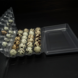 Plateau de 24 Alvéoles Pliable pour Œufs de Caille – Cartons à Œufs de Caille - Product Image 4