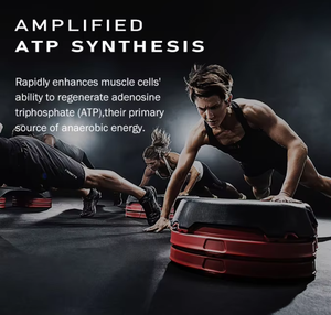 Private Label OEM Pre Workout Energy Sports Nutrition <strong>Bodybuilding</strong> Supplement Suplementos Deportivos for Muscle Growth - Product Image 3