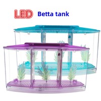 Mini aquarium pour poissons Betta avec lumière colorée pour bureau