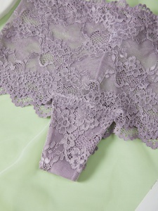 متوفر في المخزون ملابس داخلية نسائية شفافة 5-حزمة ألوان متنوعة للسيدات ملابس داخلية حميمة مصنع بالجملة - Product Image 3