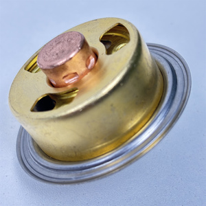 Termostato DZ120917 para Motor 4045 6068 6081 6090 - Product Image 5