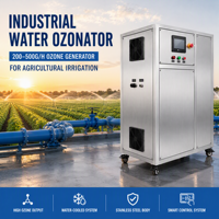 300g 200g 500g Textielafvalwater Kleurverwijdering Ozongenerator voor industriële afvalwaterzuivering en oxidatie met PLC-systeem