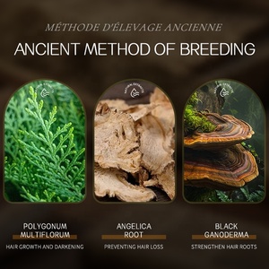 Siero Anticaduta per il Cuoio Capelluto con Estratti di Polygonum Multiflorum e Platycladus Stimola i Follicoli, Riduce la Caduta per un Capello Più Folto - Product Image 6