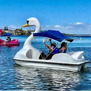 Bateau à pédales cygne 2 places en fibre de verre pas cher pour location en <span class=keywords><strong>parc</strong></span> - Product Image 4