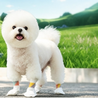 Machine automatique de fabrication de chaussettes jetables pour animaux de compagnie, couvre-pattes imperméables et antidérapants pour chiens, résistants à la saleté pour l'extérieur