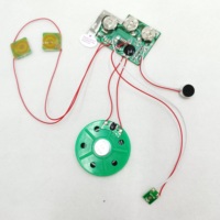 Vente en gros usine : Voiture musicale personnalisée avec puce de carte cadeau, lumière LED et musique enregistrable (30 secondes) pour enfants, certifiée CE