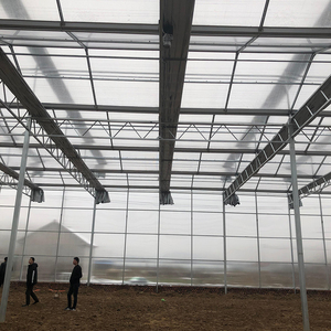Serra Agricola Multi-Span Grande Starfarm in Stock per Idroponica di Pomodori con Copertura in Lastre di Policarbonato - Basso Costo, Alta Resa - In Offerta - Product Image 5
