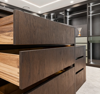 Dressing moderne sur mesure avec portes vitrées en bois foncé, éclairage LED et îlot central de rangement pour villa