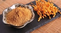 Cordycepine en vrac 1% - Extrait de champignon Cordyceps Sinensis Militaris de qualité alimentaire en poudre - Cordycepine