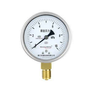 Manómetro de Diafragma de Acero Inoxidable Ye100, Material 304, Conexión Roscada para Medición de Gas - Product Image 4