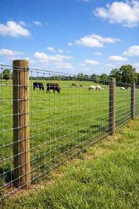 Clôture de jardin galvanisée anti-corrosion, <span class=keywords><strong>grillage</strong></span> durable pour bétail avec ligne de signalisation rouge sur le dessus pour la sécurité des cerfs, des chèvres et des chevaux - Product Image 2