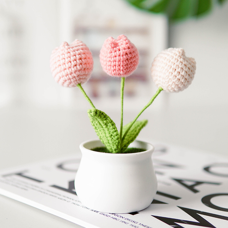 Tulipano rosa 3 teste