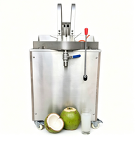 Gemakkelijk te bedienen machine voor de verwerking van kokoswater, groene vruchten voor fabrieksverwerkingsapparatuur