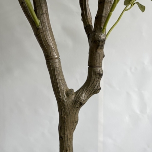 Tronco de <span class=keywords><strong>olivo</strong></span> <span class=keywords><strong>grande</strong></span> desmontable personalizado de gama alta <span class=keywords><strong>Bonsai</strong></span> artificial de plástico de alta calidad para decoraciones de interiores fiestas - Product Image 4