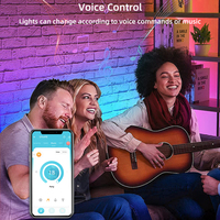 Bande lumineuse LED néon intelligente WS2811 RGB RGBW, contrôlable par application, Wi-Fi et télécommande, pour enseignes lumineuses de magasins et lettres lumineuses en néon.