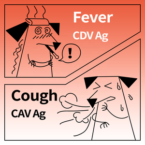Produits vétérinaires Sabervet CDV CAV Ag <span class=keywords><strong>test</strong></span> Canine Distemper Virus Adeno Virus Antigène Combo <span class=keywords><strong>Test</strong></span> rapide pour chien - Product Image 2