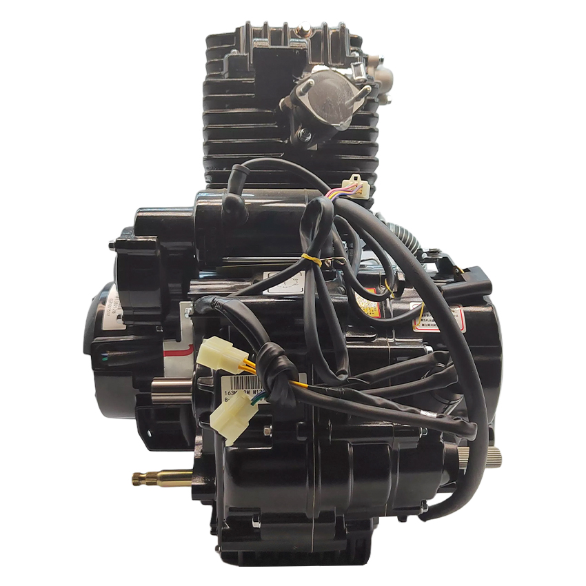 Cheap Tricycle 4-Stroke Motor - 5 Gears Manual Lifan 300cc