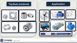 โรงงานผลิตสเตเตอร์และโรเตอร์มอเตอร์ BLDC สำหรับโดรนตามสั่ง - Product Image 5