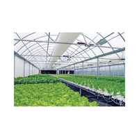 Serre agricole multi-chapelle en PVC blanc de haute qualité pour système hydroponique NFT, avec structure en acier et éclairage de croissance économe en eau