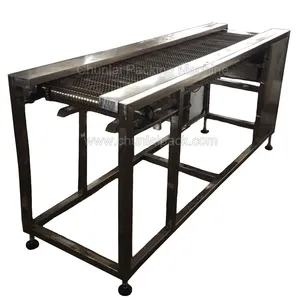 Packing Transportation Roller Belt Stainless Steel Web Type Conveyor suitable for washing