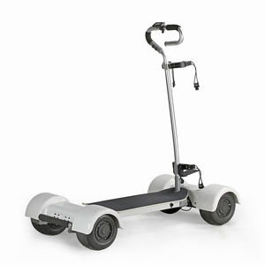 Richbit — scooter électrique à double entraînement, trottinette de golf, 4 roues, puissant, nouveauté <span class=keywords><strong>2022</strong></span> - Product Image 3