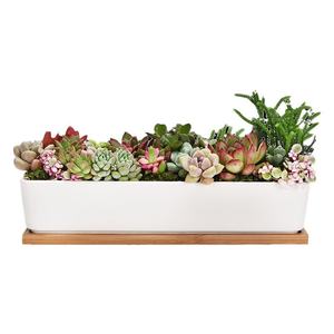 Pot à fleurs en céramique Napin pour l'exportation, pot long en porcelaine blanche exclusif pour plantes succulentes, idéal pour le commerce électronique transfrontalier - Product Image 5