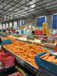 2025 Neue Ernte Shandong Frische Knusprige Süß<span class=keywords><strong>e</strong></span> Hochvitaminreiche GAP-Zertifizierte <span class=keywords><strong>Karotten</strong></span> in Kleinen und <span class=keywords><strong>Gro</strong></span>ßen Größen <span class=keywords><strong>Gro</strong></span>ßhandel - Product Image 6
