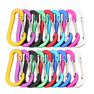 Aluminum Alloy Durable Sports Carabiner Hook 50mm Gourd-Shaped Flat Buckle Promotional Keychain with ABS Plastic and Custom Logo