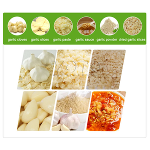 Automatic Engine-<b>Powered</b> Stainless Steel Garlic Peeling Crushing <b>Paste</b> Making Machine 500kg/h Capacity 6-Month Warranty New - Product Image 5