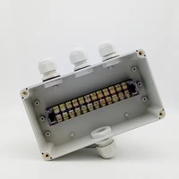 Boîtier de jonction extérieur en plastique étanche à la poussière IP66 158*90*60 avec 12 bornes pour instruments électroniques