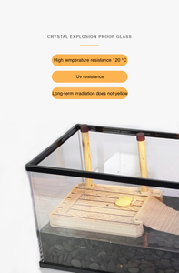 Barbare BG Croissance ZJDS-G04 Haute qualité haute apparence <span class=keywords><strong>Reptile</strong></span> Terrarium Cage en verre tortue <span class=keywords><strong>reptile</strong></span> terrarium en verre réservoir