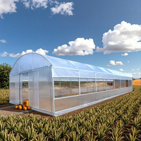 Serre tunnel agricole économique de 30 x 8 mètres, serre portable pour l'élevage d'escargots, fournisseur de serres commerciales au Ghana