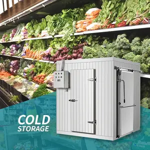 Cold Room Supplier Sale Solar Container Commercial Refrigeration Compressor Unit Cold Freezer Storage Room For Meat