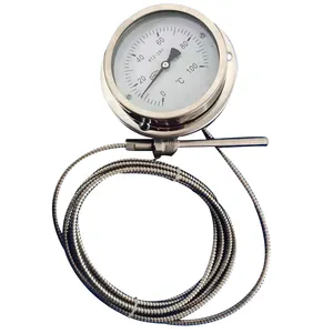 Supply various types of transformer electric contact pressure thermometers WTZ-288/280