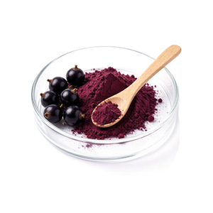 Extracto <span class=keywords><strong>de</strong></span> Grosella Negra en Polvo (<span class=keywords><strong>Ribes</strong></span> Nigrum L.), con 5%-10% <span class=keywords><strong>de</strong></span> Antocianinas, 5%-36% <span class=keywords><strong>de</strong></span> Antocianidinas, 5%-90% <span class=keywords><strong>de</strong></span> Polifenoles, Polvo Fino Rojo Púrpura - Product Image 2