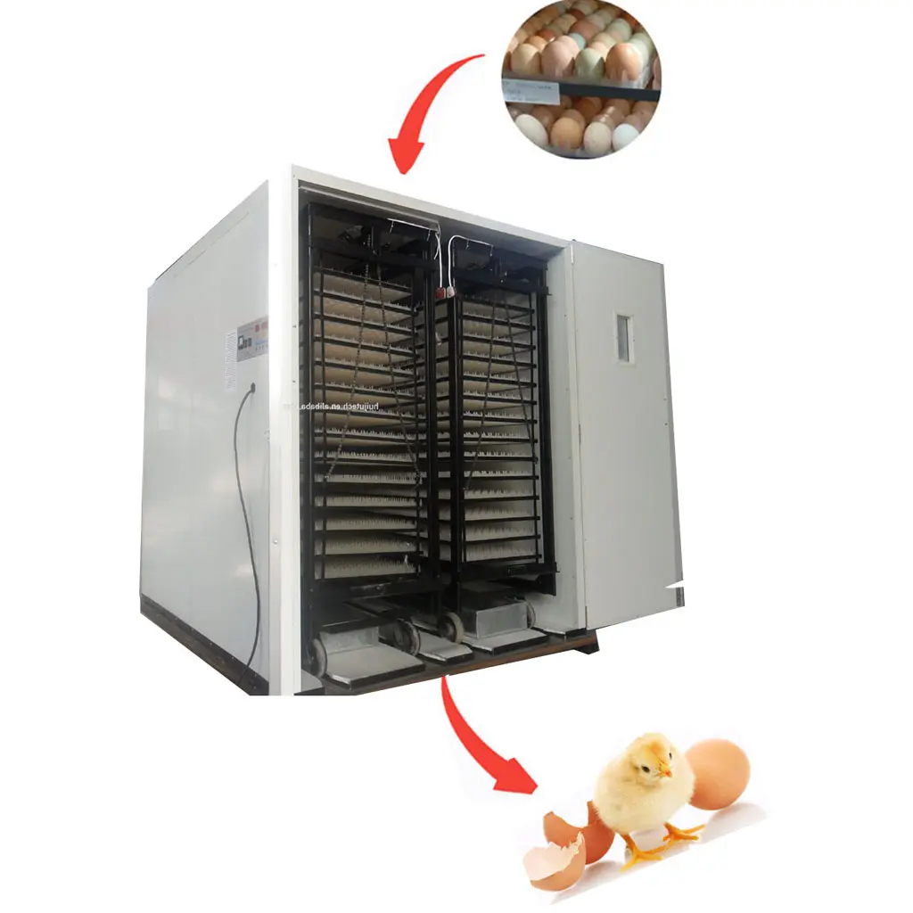 Incubadora automática de ovos 2 carrinhos, modelo de 8000 ovos de galinha/ovos, incubadora de ovos para codornas HJ-I19