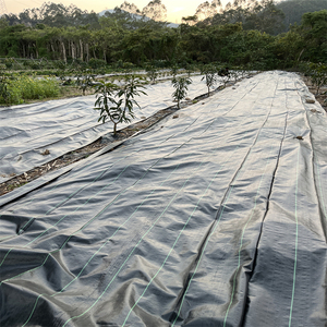 Trung Quốc bán buôn nông nghiệp không dệt che phủ mặt đất vải chống UV vải cỏ dại kiểm soát Mat cho cây - Product Image 4