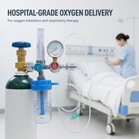 Regulator Aliran Oksigen Rumah Sakit, Flow Meter, Humidifier, Paduan Seng, Peredam Tekanan 250bar, Klinik Medis, CE ISO JH-F01, Garansi 3 Tahun