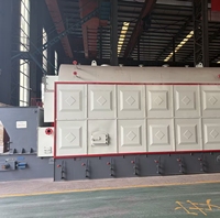 Chaudière de chauffage à eau chaude à haute efficacité énergétique DZL, fonctionnant au bois et aux balles de riz