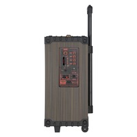 Haut-parleur à tige en bois RAYSOUNDS NDR-C12 12 pouces pour danse carrée en extérieur avec microphone sans fil, télécommande et batterie intégrée