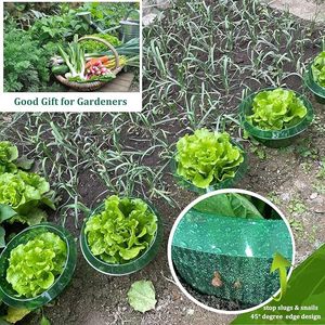 Cloche de <span class=keywords><strong>protection</strong></span> réutilisable pour plantes, couvercle en dôme transparent en PP pour jardin potager, anti-<span class=keywords><strong>oiseaux</strong></span>, anti-limaces, prêt à être expédié - Product Image 4