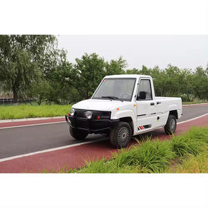 定制4KW电机的远程EEC <span class=keywords><strong>2</strong></span>座迷你成人电动舱车 - Product Image 5